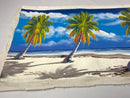 Dominican Rep. Canvas Painting from Santo Domingo 12” by 30”